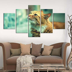 Ginger Tom Cat Pet Animal Wall Art Canvas Decor Printing