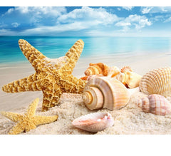 5D DIY Diamond Painting kit - Beach Shell starfish scenery home decor gift - DelightedStore