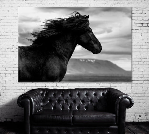 Black Wild Horse Wall Art Canvas Print Decor-1Panel