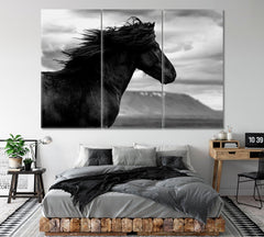 Black Wild Horse Wall Art Canvas Print Decor-3Panels