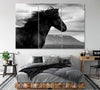 Image of Black Wild Horse Wall Art Canvas Print Decor-3Panels