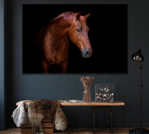 Brown Horse Portrait Wall Art Canvas Print Decor-1Panel