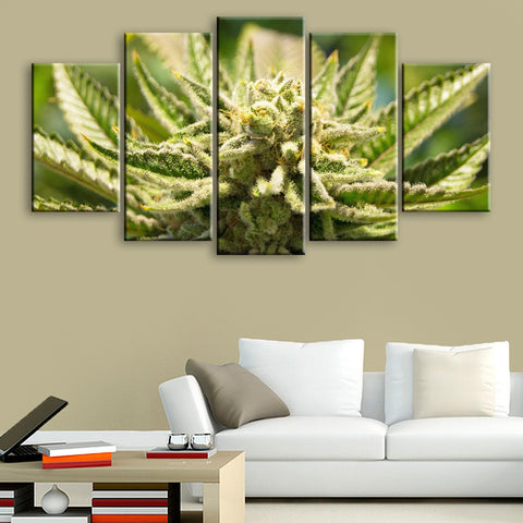 Cannabis Bud Plant Wall Art Canvas Decor Printing