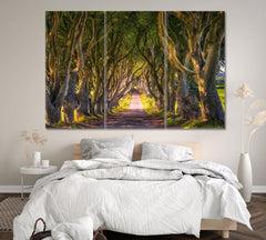 Dark Hedges Trees Tunnel Wall Art Canvas Print Decor-3Panels