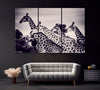 Image of Giraffes in Black And White Fine Art Wall Art Canvas Print Decor-3Panel