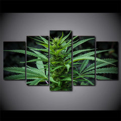 Marijuana Cannabis 420 Ganja Weed Plant Wall Art Canvas Decor Printing