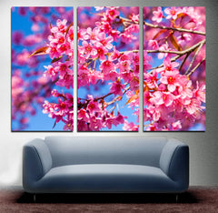 Pink Cherry Blossom Wall Art Canvas Decor Printing