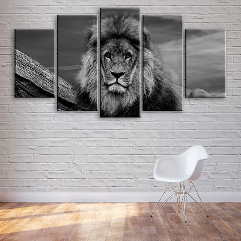 Resting Lion Black-White Wall Art Canvas Decor Printing