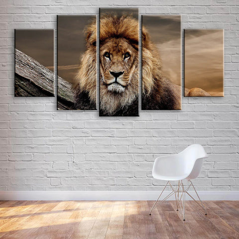 Resting Lion Wall Art Canvas Decor Printing