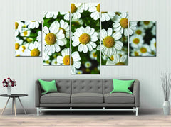 White Daisy Flower Wall Art Canvas Decor Printing