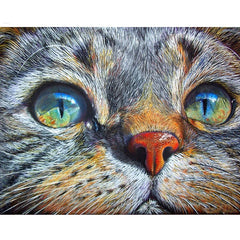 5D DIY Diamond Painting kit - Face Cute Cat home decor gift - DelightedStore
