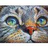 Image of 5D DIY Diamond Painting kit - Face Cute Cat home decor gift - DelightedStore