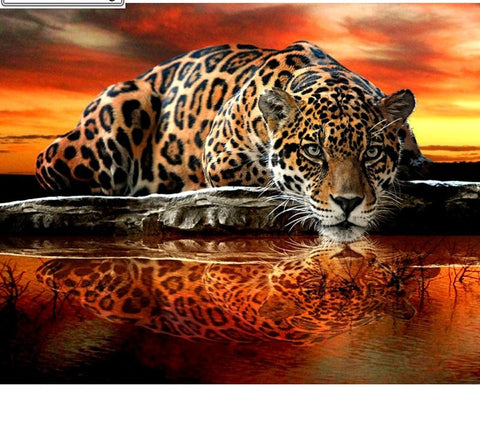 5D DIY Diamond Painting kit - Tiger Reflection home decor gift - DelightedStore